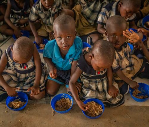 WhatsApp Image 2026-03-04 at 05.18.58 (2) WhatsApp Image 2026-03-04 at 05.18.58 (2)