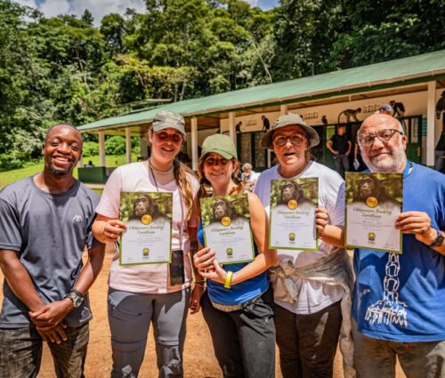 WhatsApp Image 2026-03-04 at 05.19.00 (2) WhatsApp Image 2026-03-04 at 05.19.00 (2)